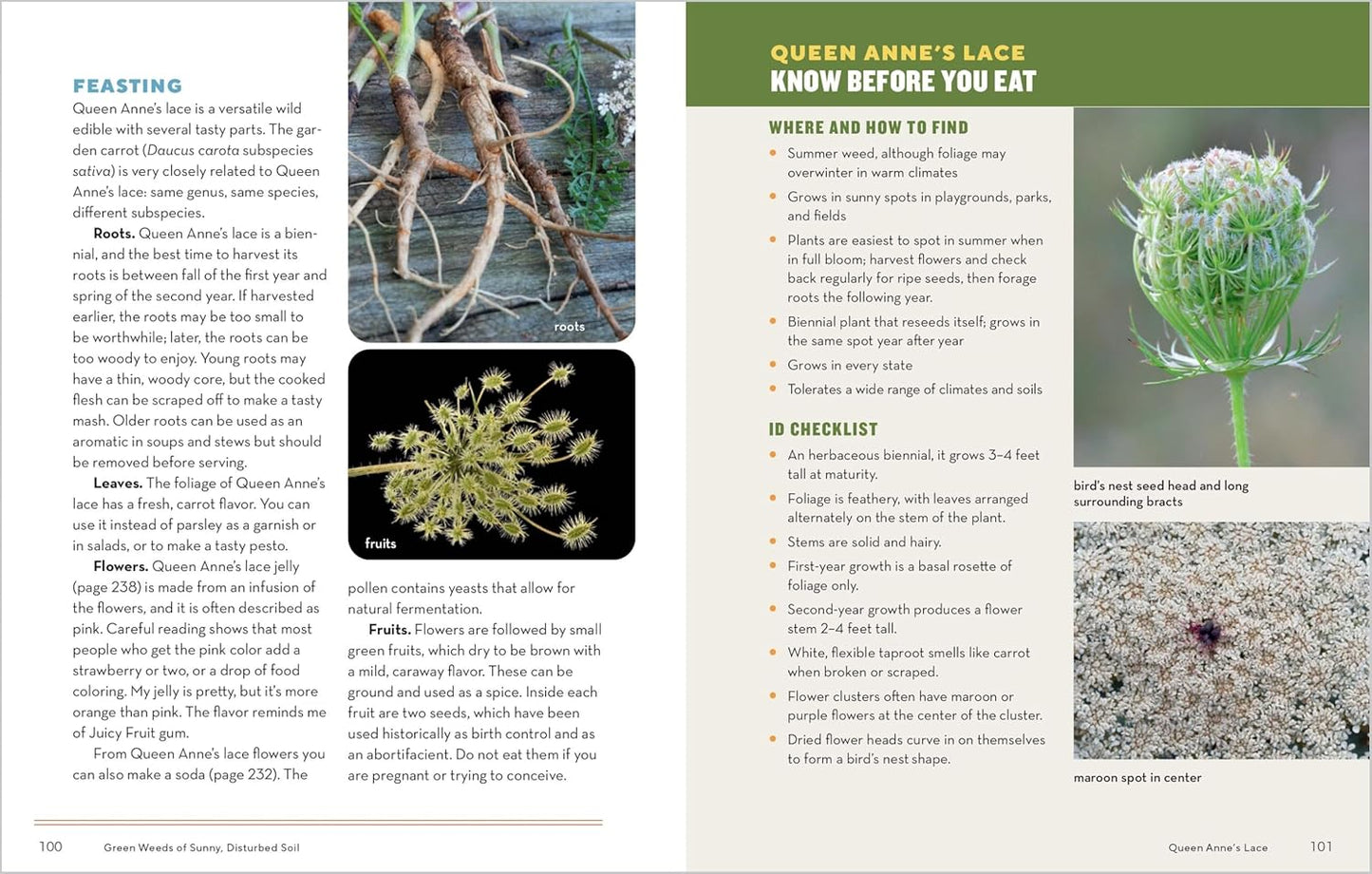 Book - How to Forage for Wild Foods without Dying: An Absolute Beginner's Guide to Identifying 40 Edible Wild Plants by Ellen Zachos (Paperback)