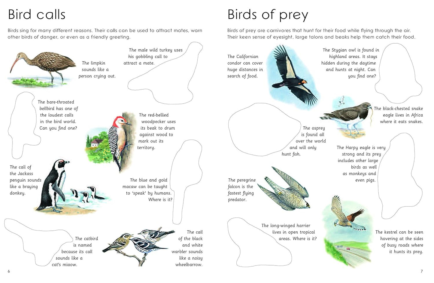 Book - Ultimate Bird Sticker Book with 100 Amazing Stickers: Learn All About the Different Types of Birds – with Fantastic Reusable Easy-To-Peel Stickers (Paperback)