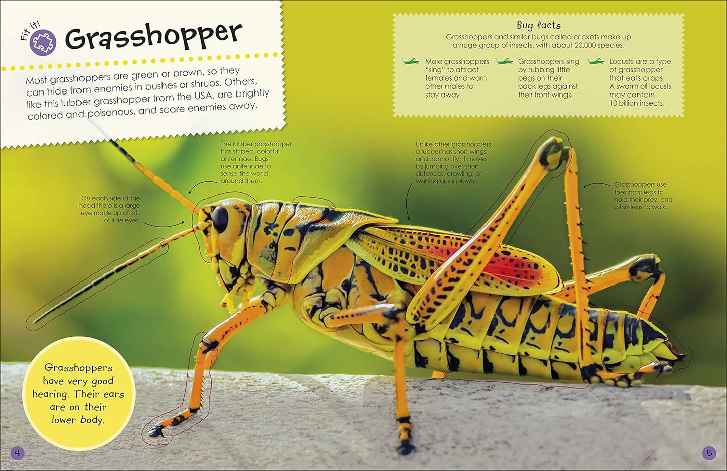 Book - Ultimate Sticker Book: Bugs: Over 250 Reusable Full-Color Stickers (Paperback)