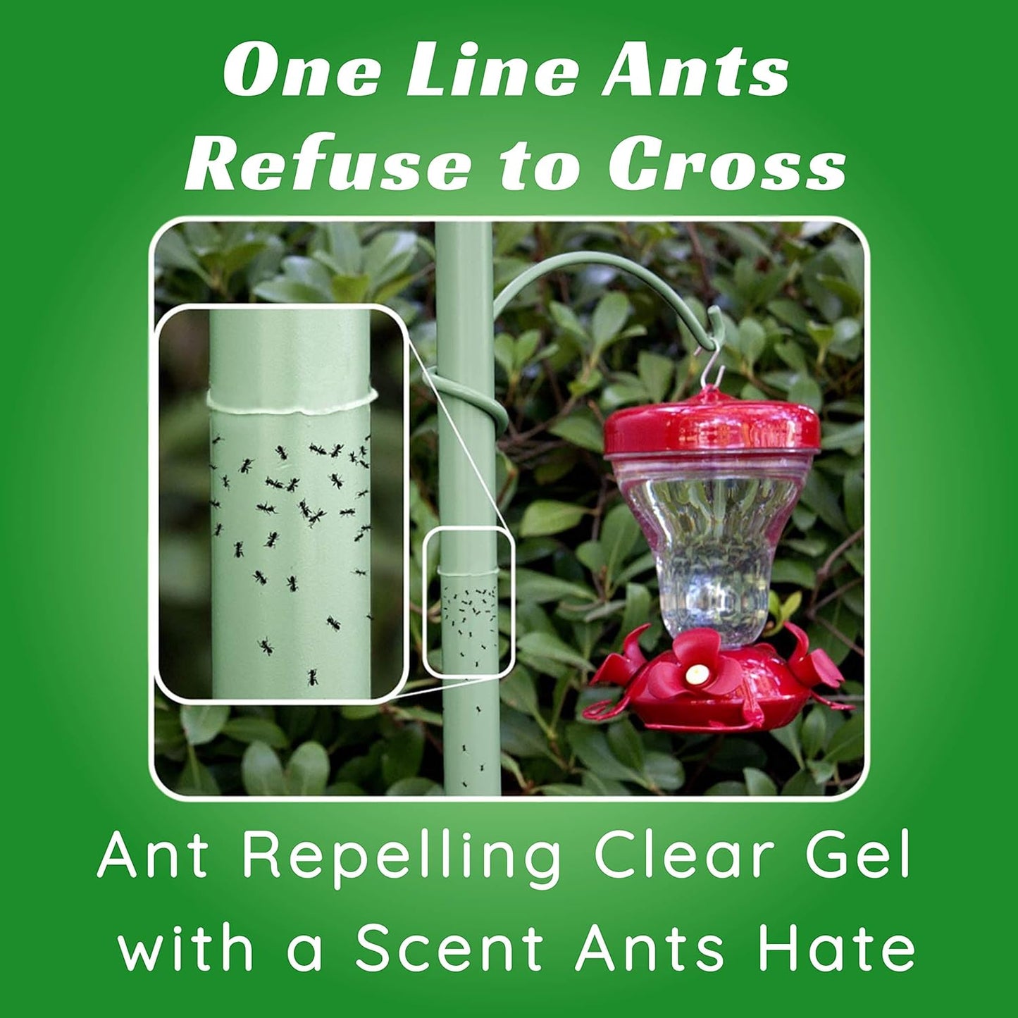 Birds - Nectar Fortress Natural Ant Repellant Twin Pack