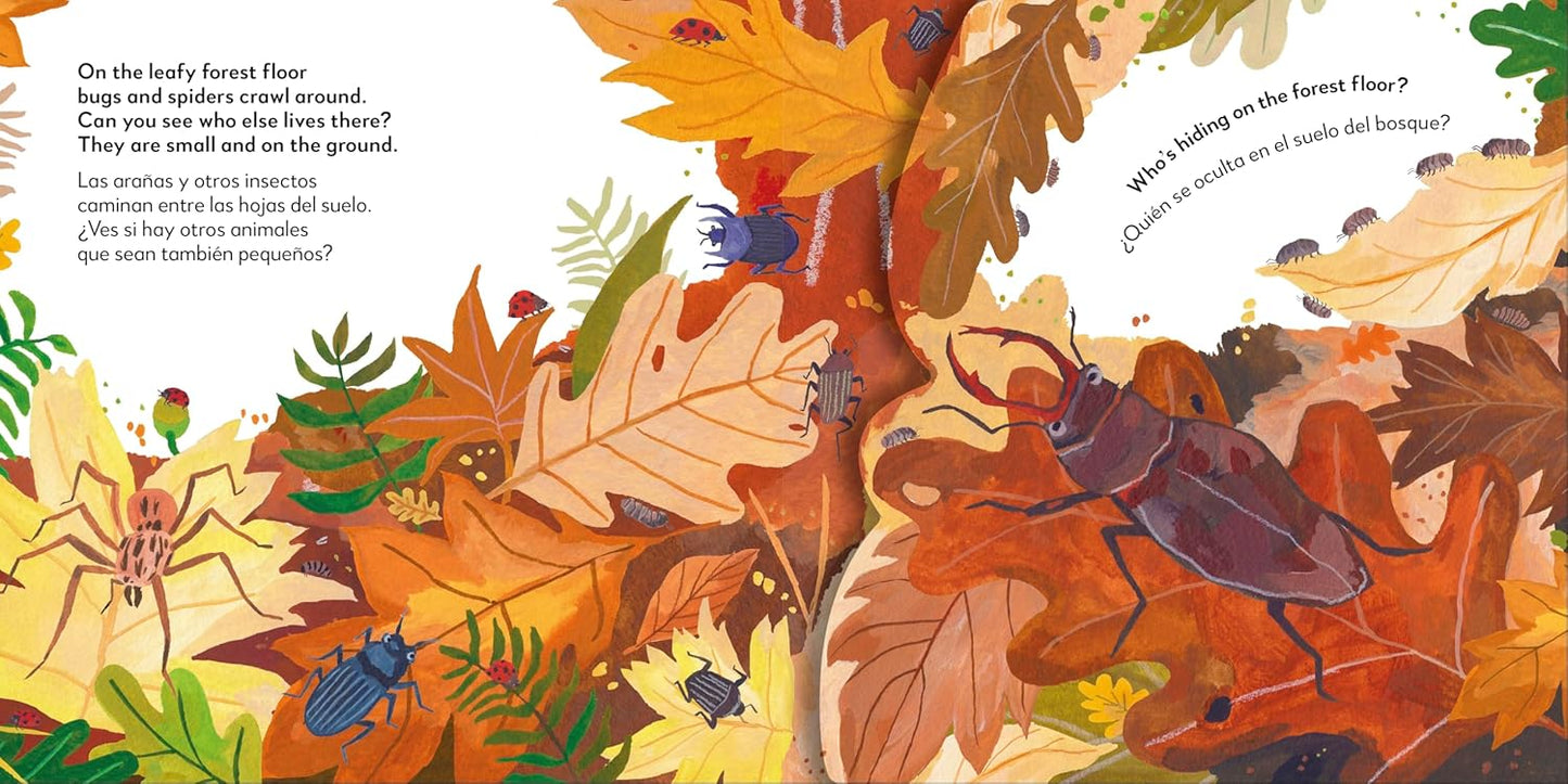 Bilingual English & Spanish - Libro en Espanol - Bilingual Pop-Up Peekaboo! Forest - El Bosque (Boardbook / Pop-up Book)