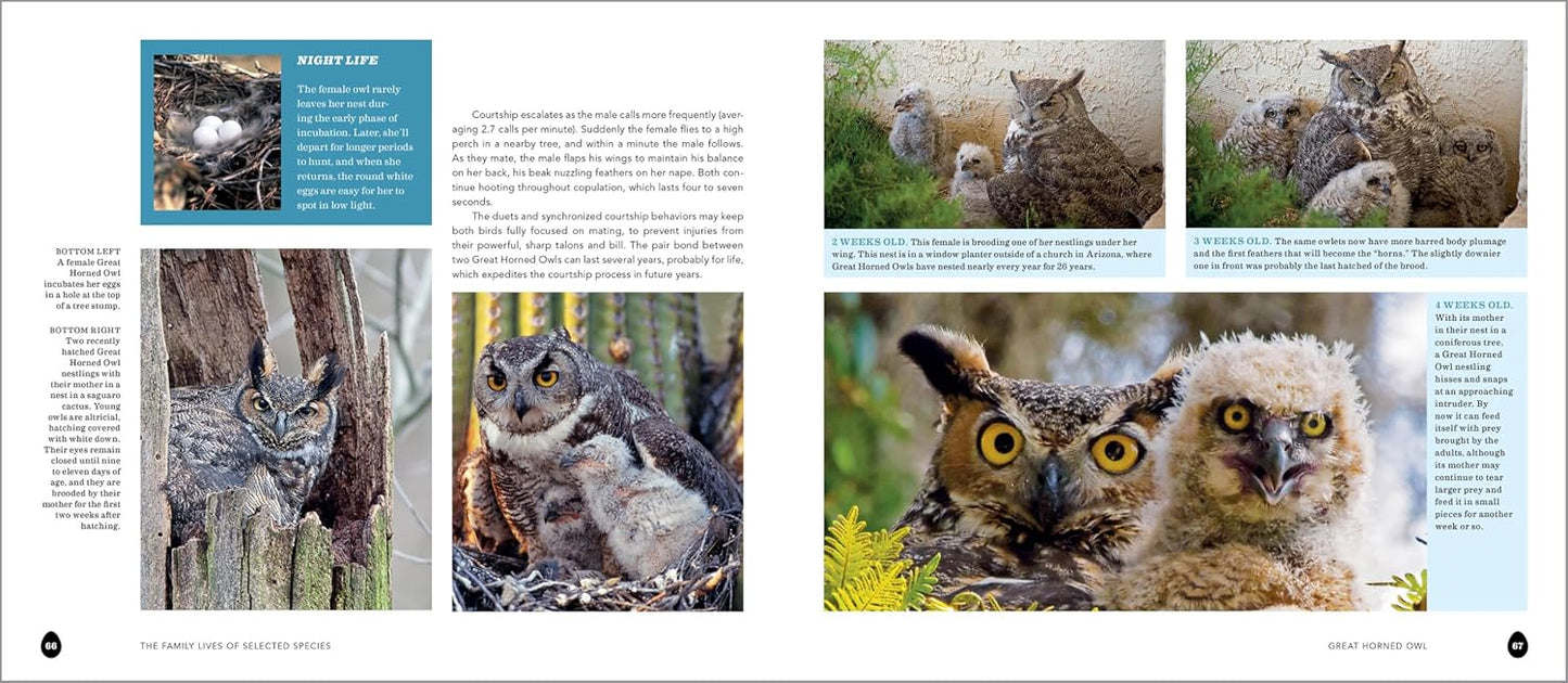 Book - Into the Nest: Intimate Views of the Courting, Parenting, and Family Lives of Familiar Birds by Laura Erickson & Marie Read (Paperback)
