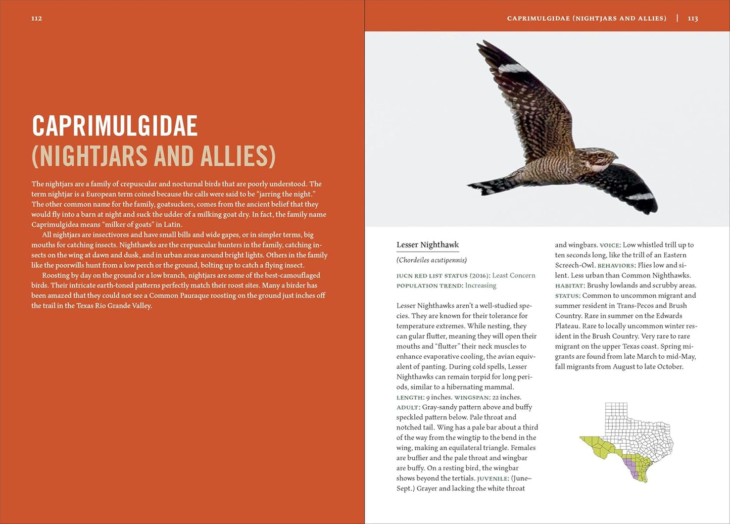 Book - Birds of Texas: A Timber Press Field Guide by David Sarkozi (Flexibound)
