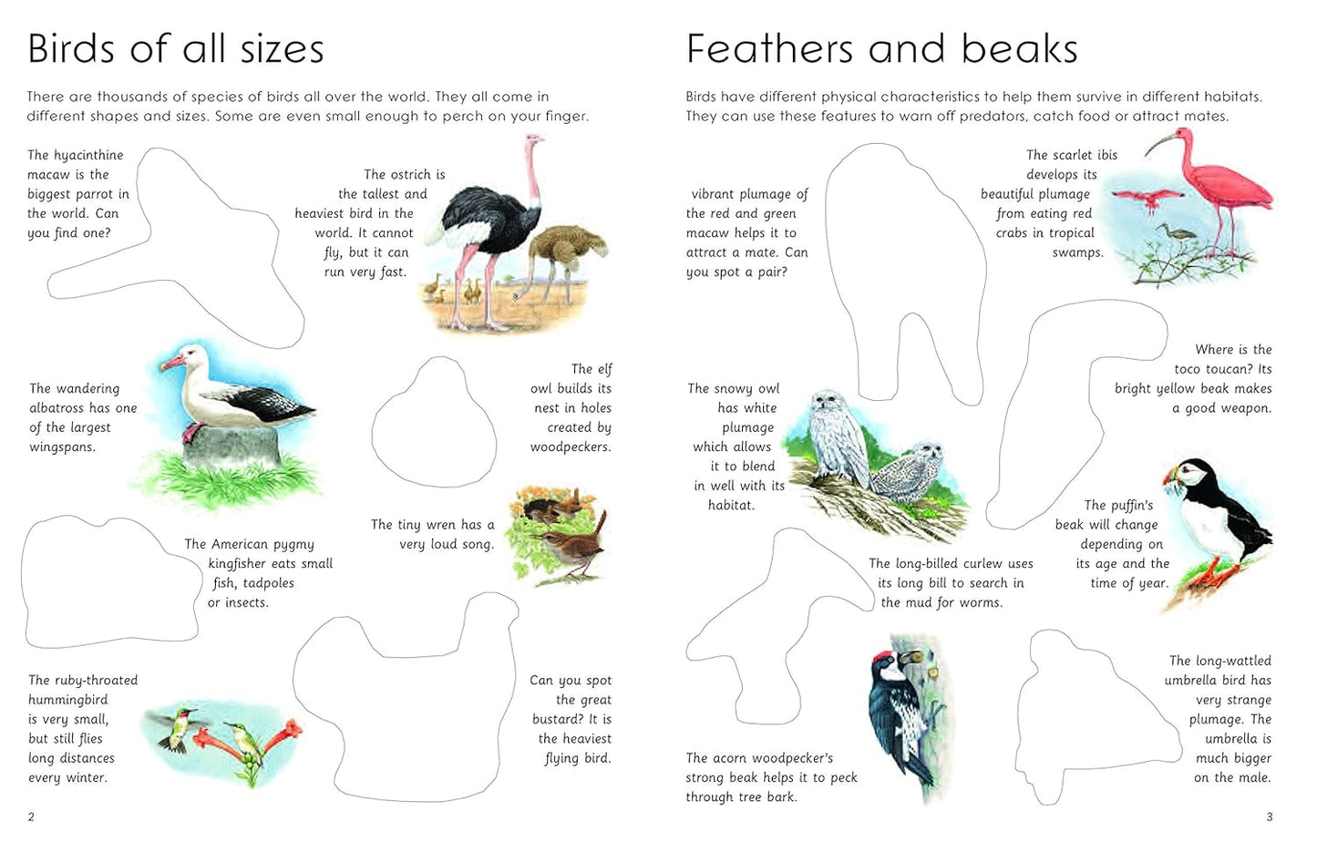 Book - Ultimate Bird Sticker Book with 100 Amazing Stickers: Learn All About the Different Types of Birds – with Fantastic Reusable Easy-To-Peel Stickers (Paperback)