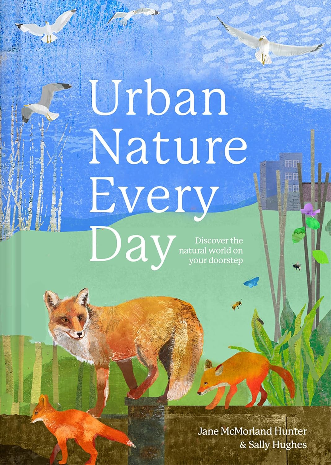 Book - Urban Nature Every Day: Discover the Natural World on Your Doorstep (Hardback)