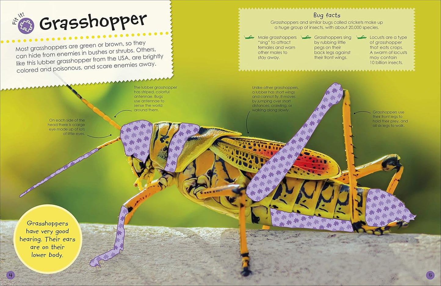 Book - Ultimate Sticker Book: Bugs: Over 250 Reusable Full-Color Stickers (Paperback)