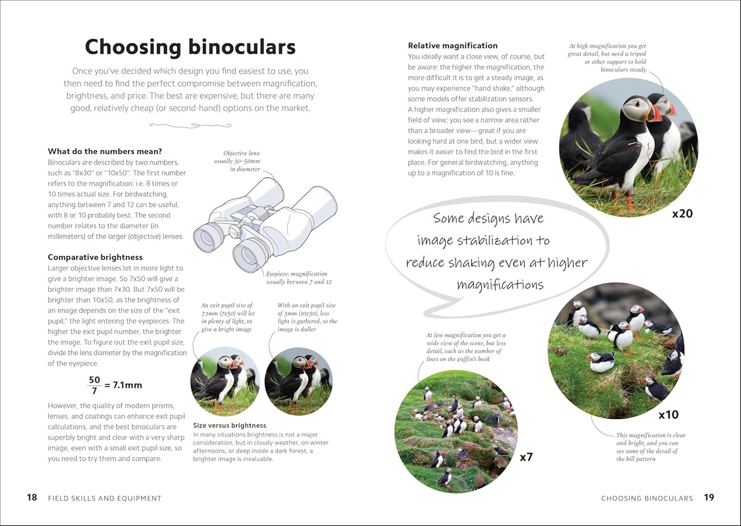 Book - Smithsonian Birdwatching Guide: Turn Yourself into a Birdwatching Expert (DK North American Bird Guides) (Hardback)