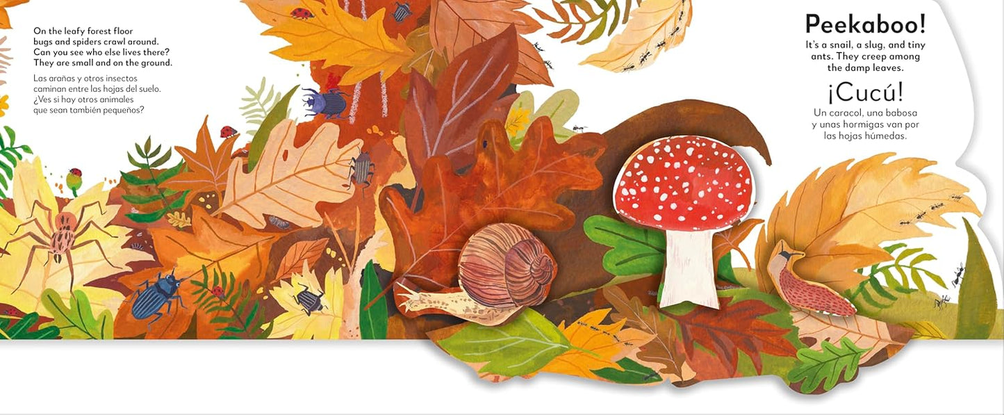 Bilingual English & Spanish - Libro en Espanol - Bilingual Pop-Up Peekaboo! Forest - El Bosque (Boardbook / Pop-up Book)