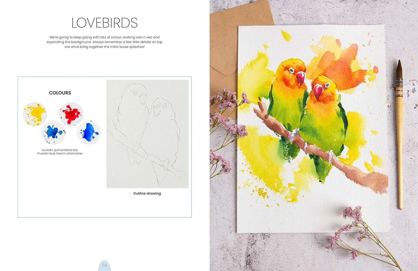 Book - Simply Paint Birds: A Complete Watercolour Course for Beginners by Tom Shepherd (Paperback)
