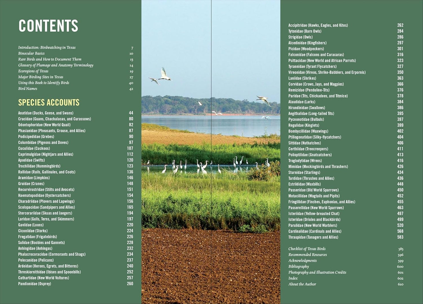 Book - Birds of Texas: A Timber Press Field Guide by David Sarkozi (Flexibound)