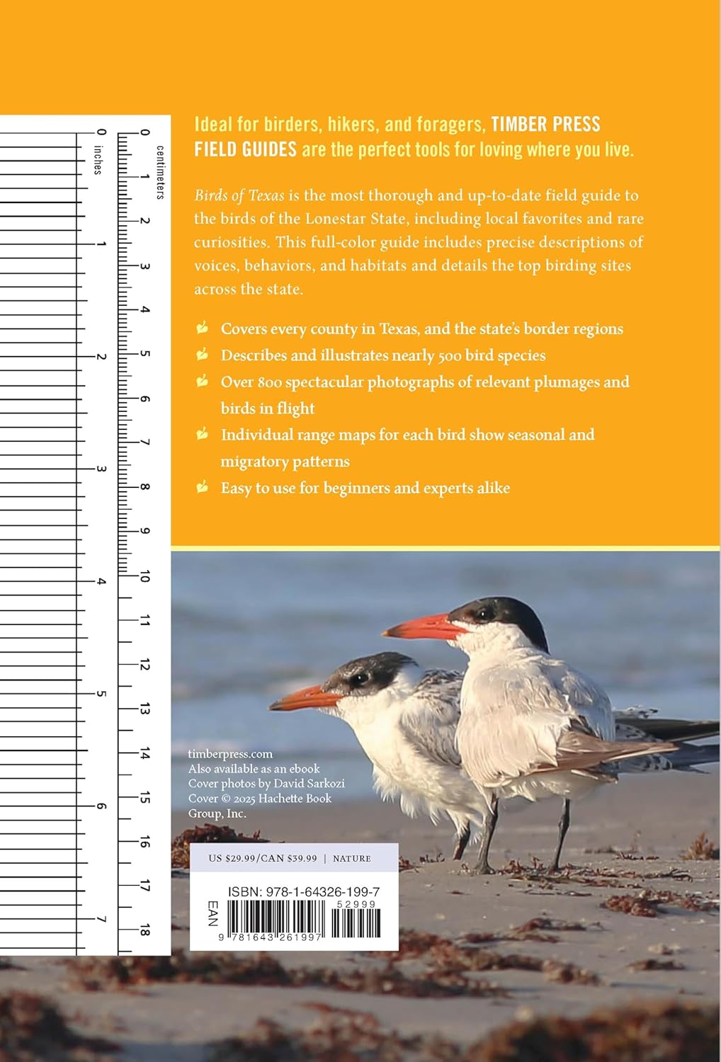 Book - Birds of Texas: A Timber Press Field Guide by David Sarkozi (Flexibound)