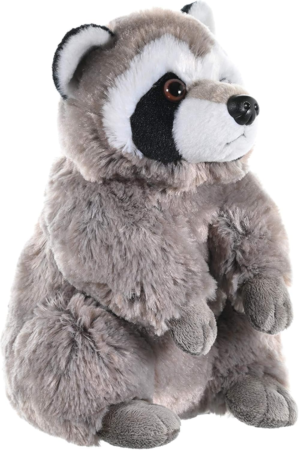 Plush Animal - Raccoon - Cuddlekins 12"