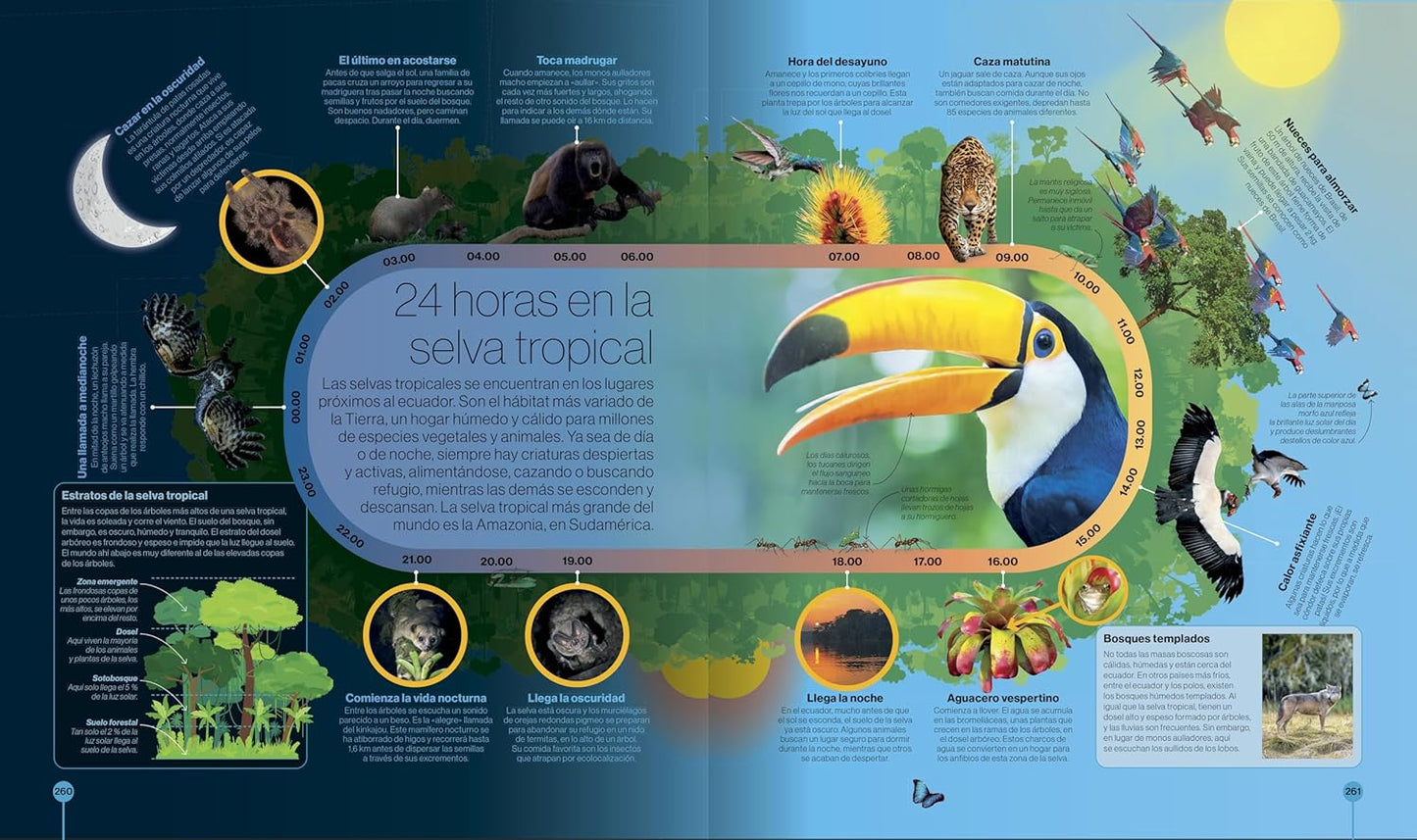 Libro en Espanol - Los Ciclos de la Naturaleza (Timelines of Nature) (Hardback)