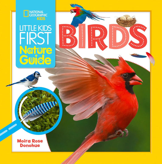 Book - Little Kids First Nature Guide Birds by Moira Rose Donohue (Flexibound)