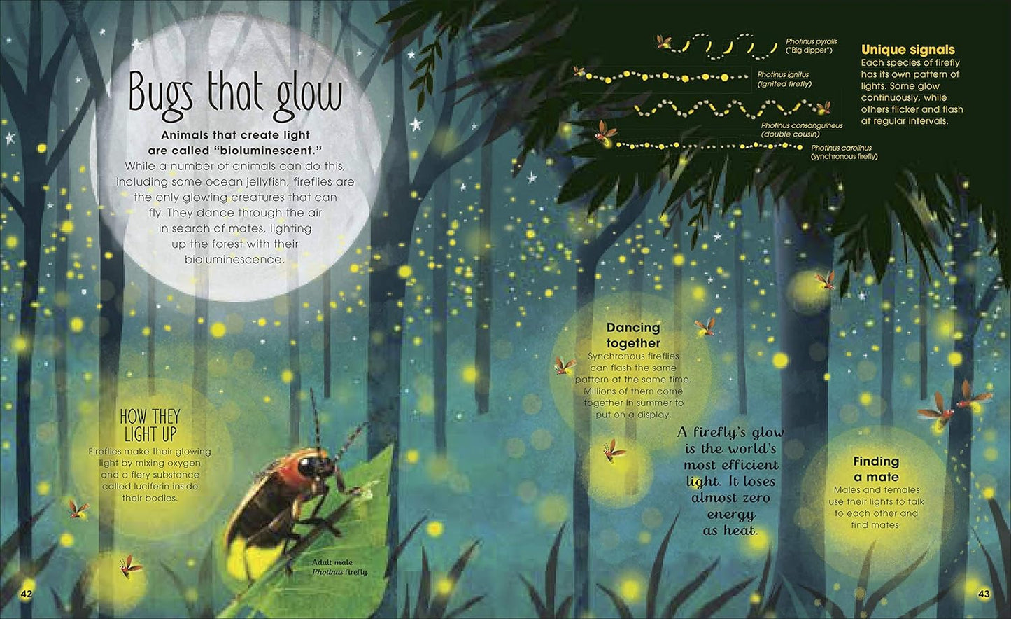 Book - The Book of Brilliant Bugs (The Magic and Mystery of the Natural World) by Jess French (Hardback)