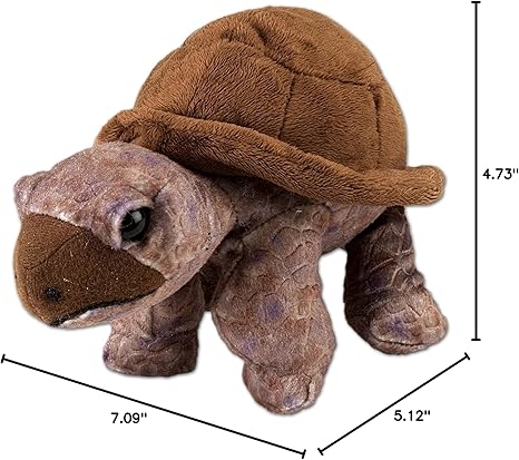 Plush Animal - Mini Tortoise - Cuddlekins Mini (8")