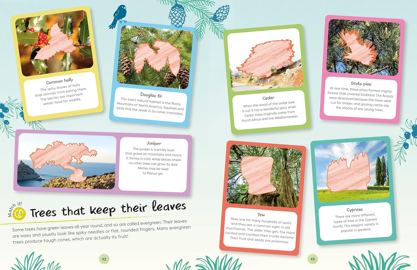 Book - Ultimate Sticker Book: Trees and Leaves: Over 250 Reusable Full-Color Stickers (Paperback)