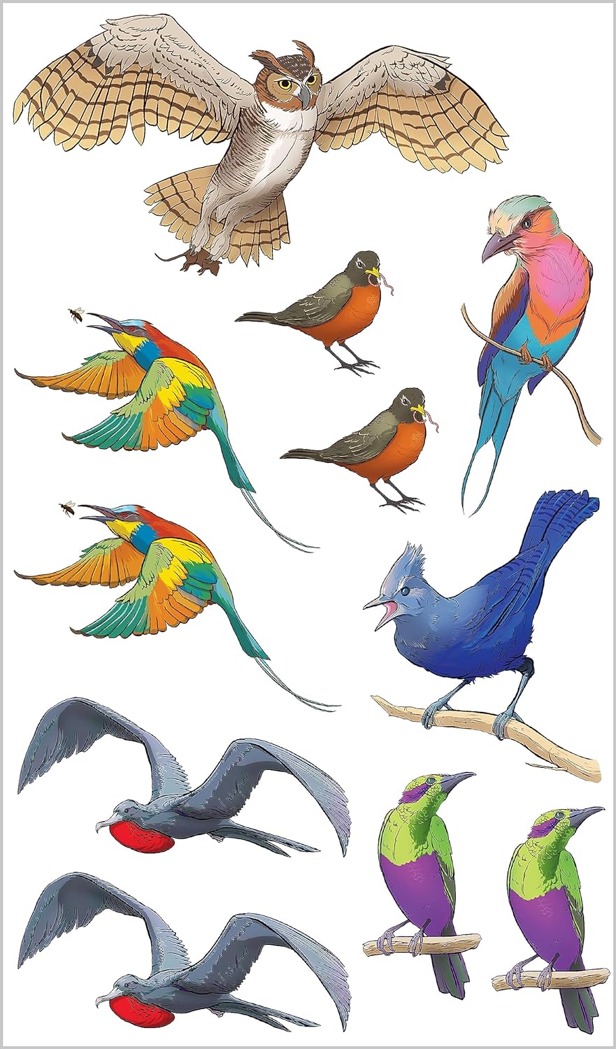 Temporary Tattoos - Soaring, Singing Tattoo Birds: 50 Temporary Tattoos That Teach (Paperback/Sticker Book)