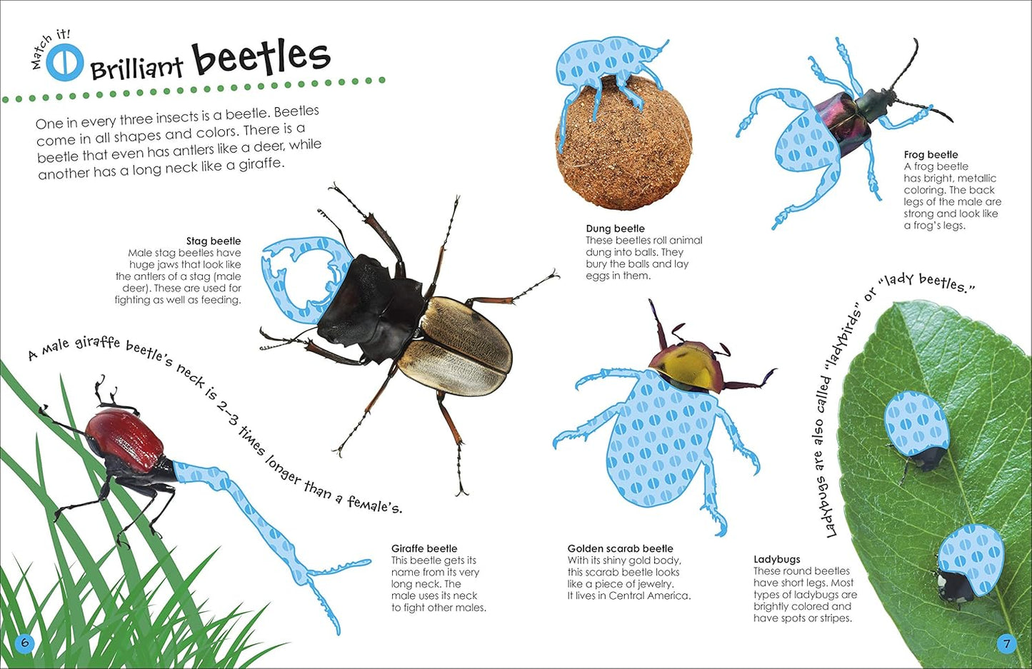 Book - Ultimate Sticker Book: Bugs: Over 250 Reusable Full-Color Stickers (Paperback)
