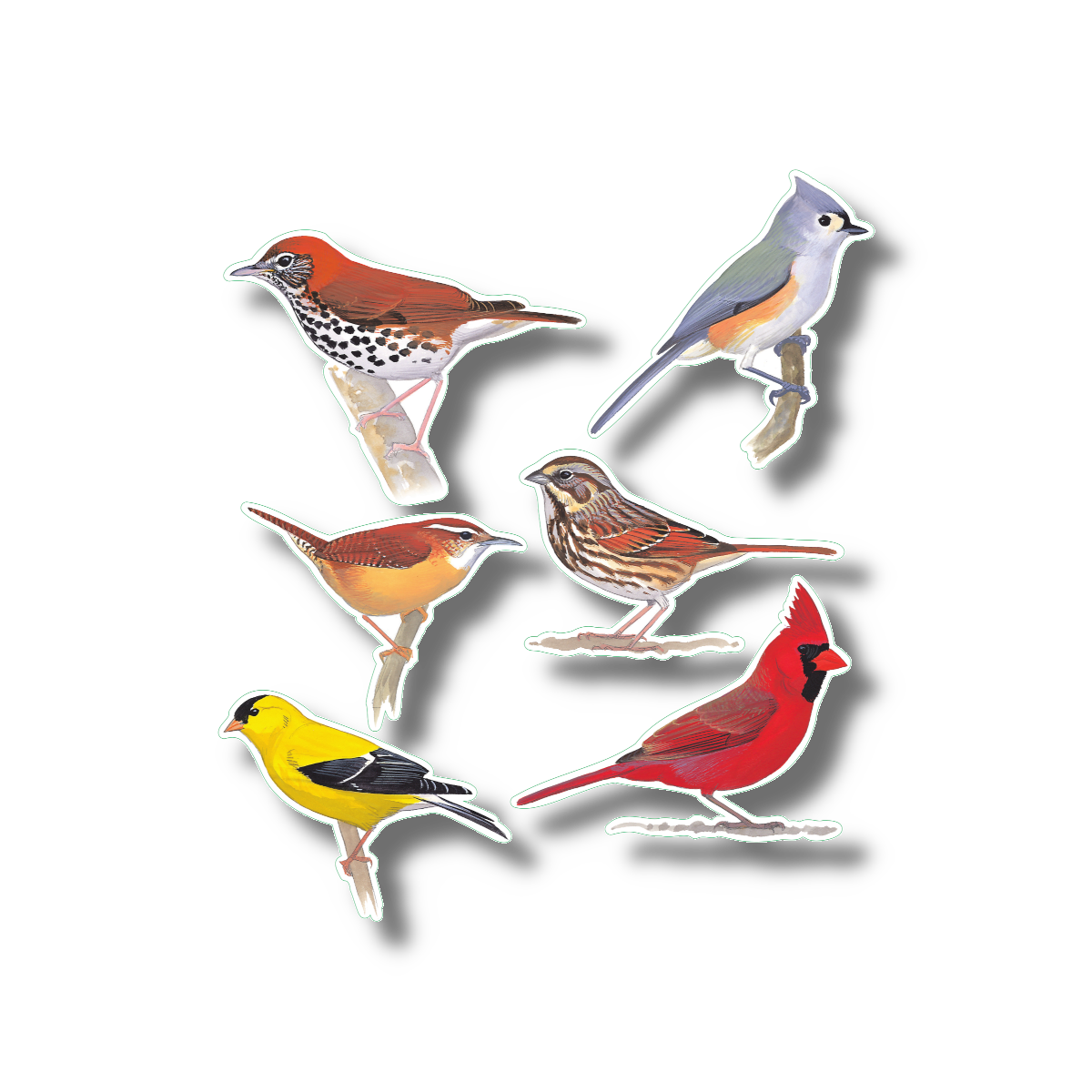 Sticker Sheet - Favorite Songbirds Nature Stickers, 5" x 7"