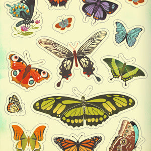 Book - What's Inside a Garden? Stickerology: 500+ Stickers of Blooms, Butterflies, Birds, and More; Stickers for Gardeners, Nature-Lovers, and More; Stickers for Journals, Water Bottles, and Laptops by Rachel Ignotofsky (Paperback) (Copy)