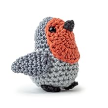 Book - Mini Amigurumi Birds: 25 Tiny Flying Creatures to Crochet by Sarah Abbondio (Hardback)