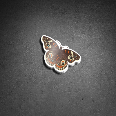 Sticker - Buckeye Butterfly