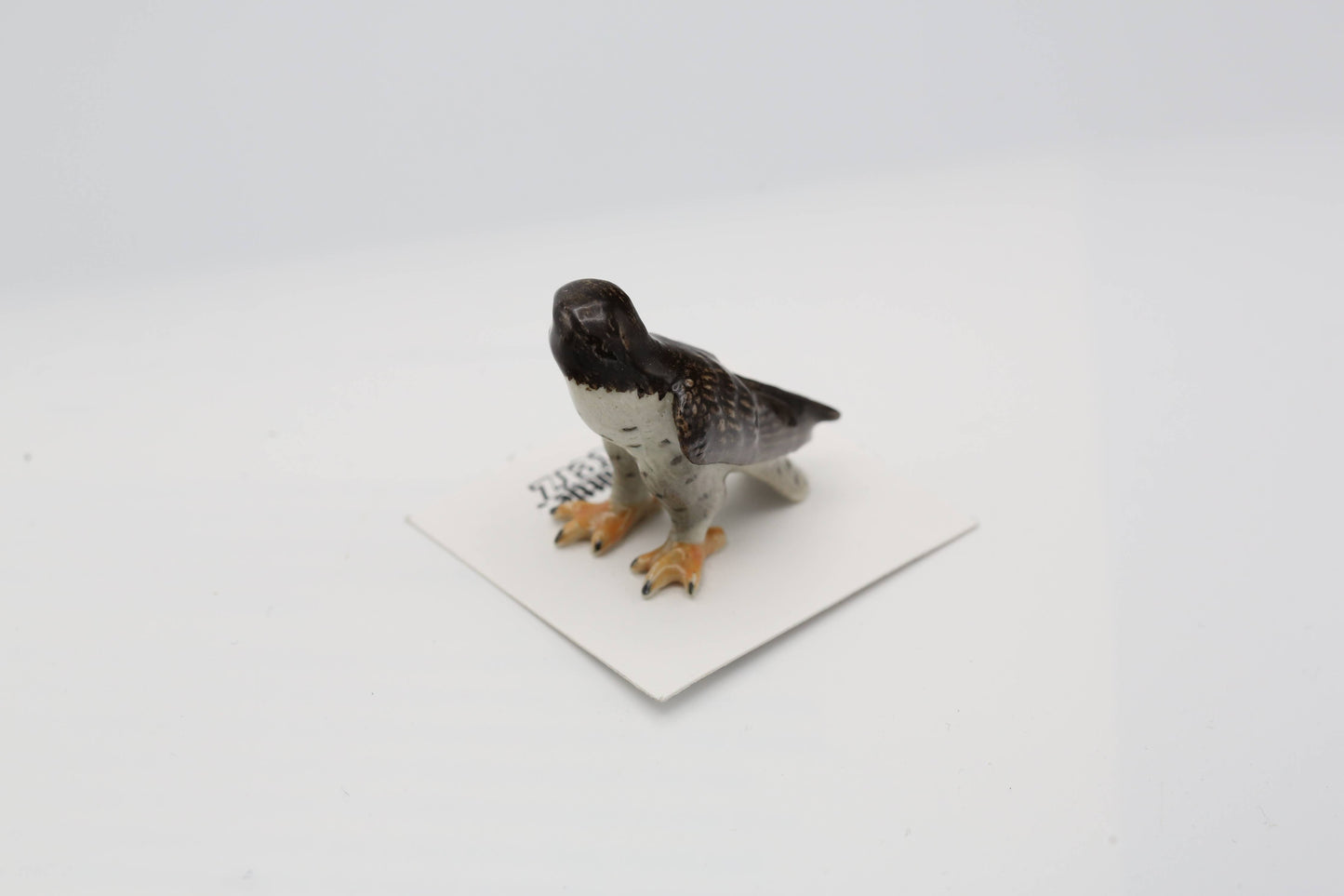 Little Critterz Porcelain Miniature - "Stoop" Peregrine Falcon