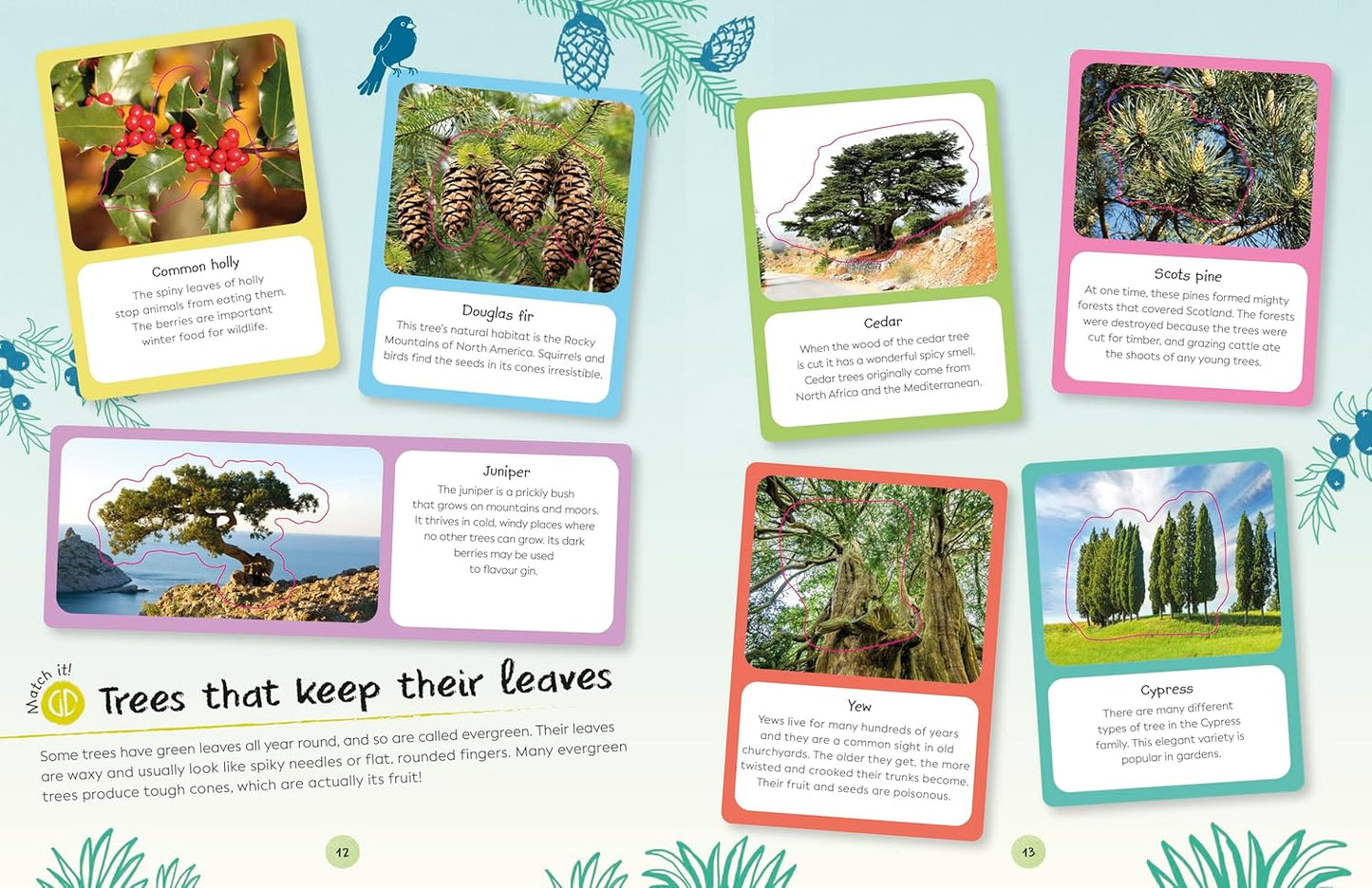 Book - Ultimate Sticker Book: Trees and Leaves: Over 250 Reusable Full-Color Stickers (Paperback)