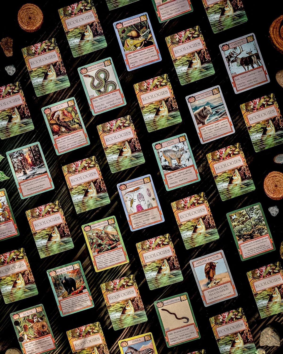 Games - Ecologies Card Game (Main Pack)
