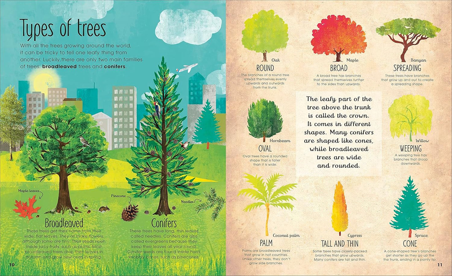 Book - Magic & Mystery of Trees by Jen Green (Hardback)
