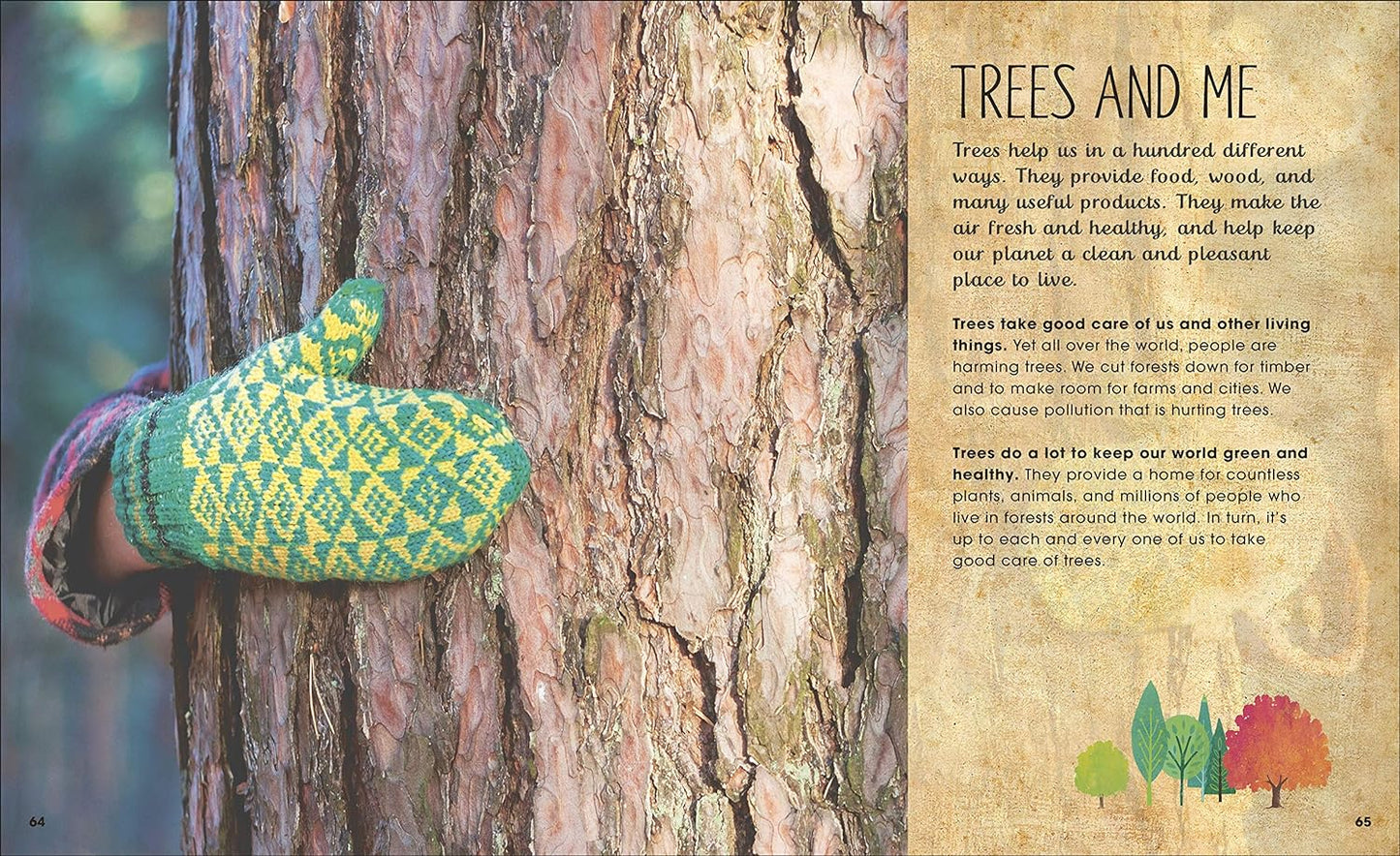 Book - Magic & Mystery of Trees by Jen Green (Hardback)
