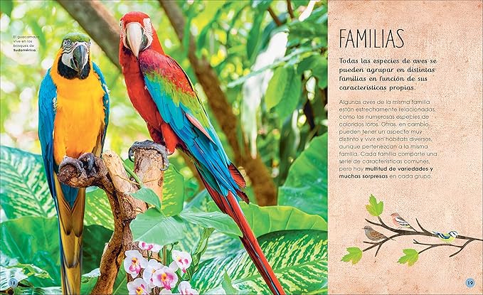 Libro en Espanol - La vida secreta de las aves (The Extraordinary World of Birds) (The Magic and Mystery of the Natural World) (Spanish Edition) by David Lindo (Hardback)