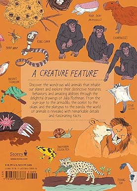 Book - Wildlife Anatomy: The Curious Lives & Features of Wild Animals Around the World by Julia Rothman (Paperback)