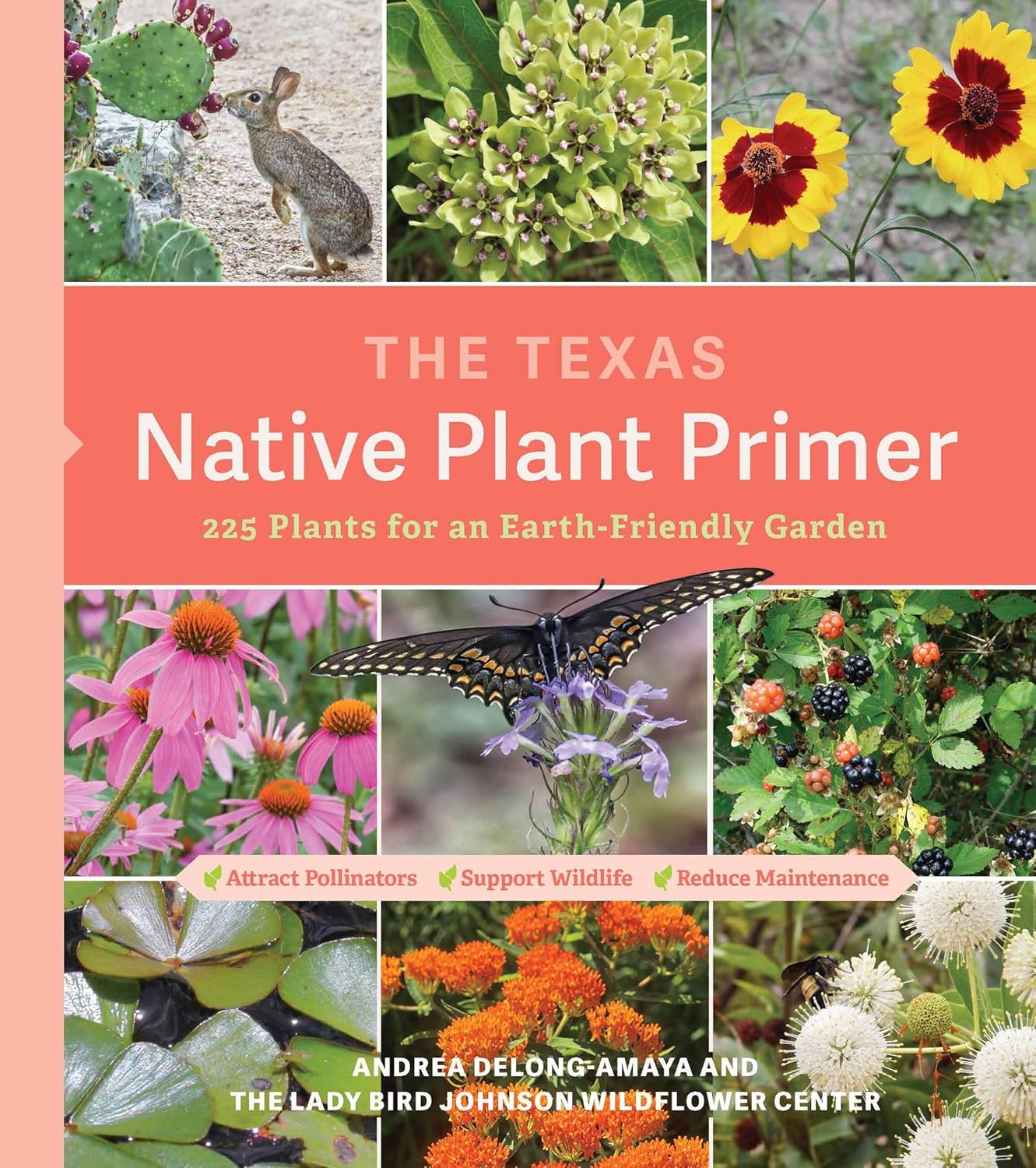 Book - The Texas Native Plant Primer: 225 Plants for an Earth-Friendly Garden by Ladybird Johnson Wildflower Center and Andrea DeLong-Amaya (Paperback)
