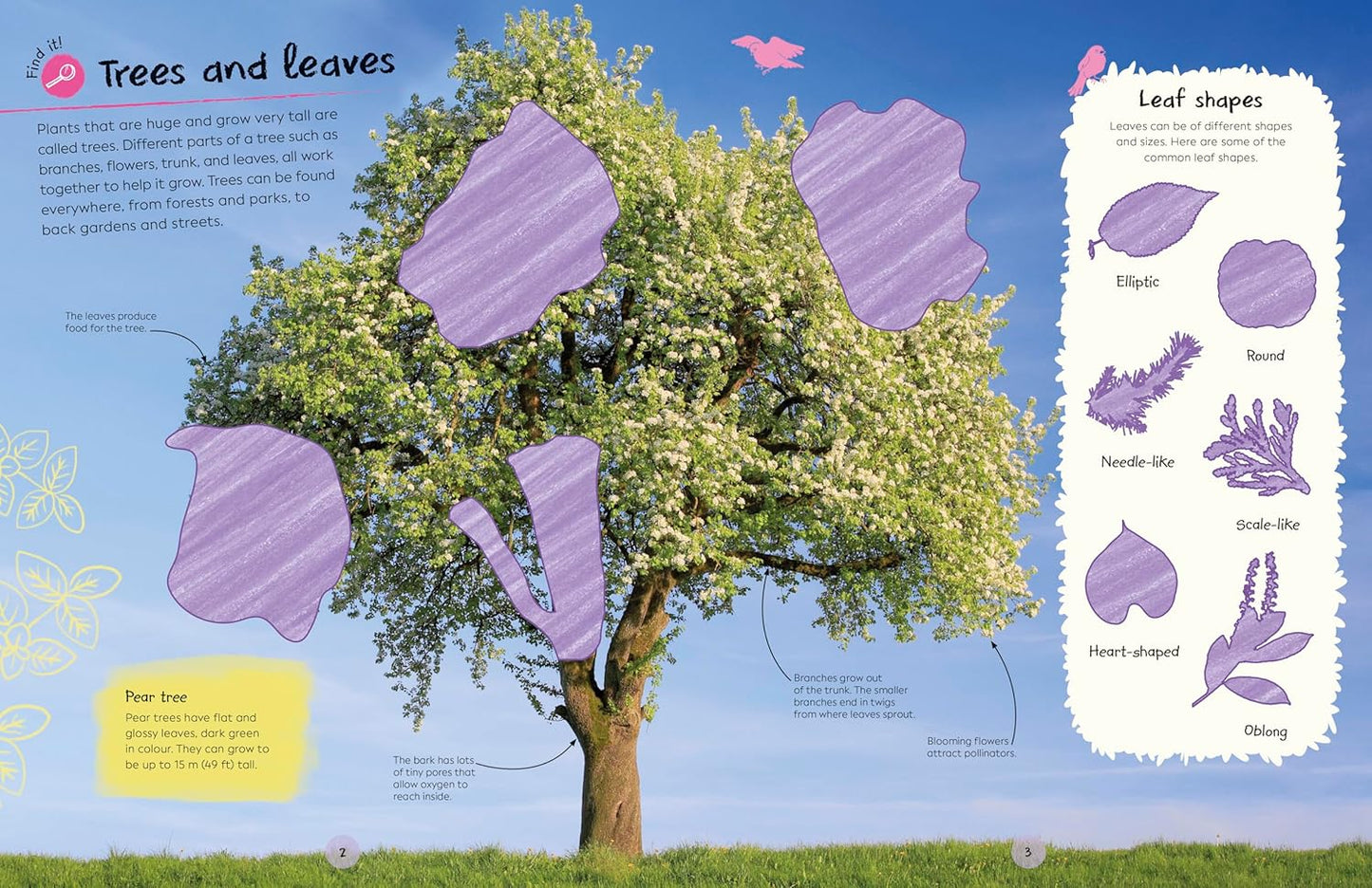 Book - Ultimate Sticker Book: Trees and Leaves: Over 250 Reusable Full-Color Stickers (Paperback)