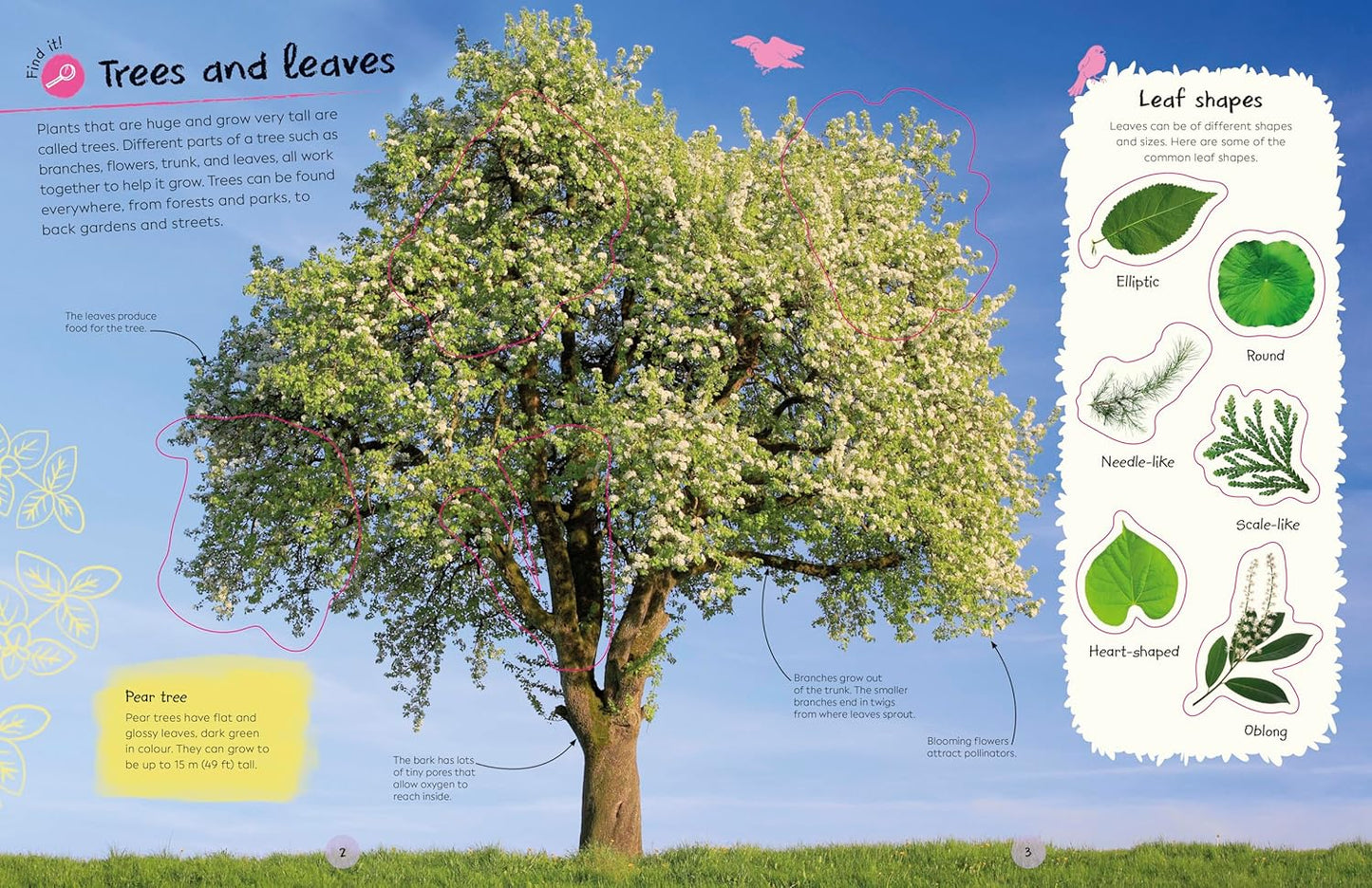 Book - Ultimate Sticker Book: Trees and Leaves: Over 250 Reusable Full-Color Stickers (Paperback)