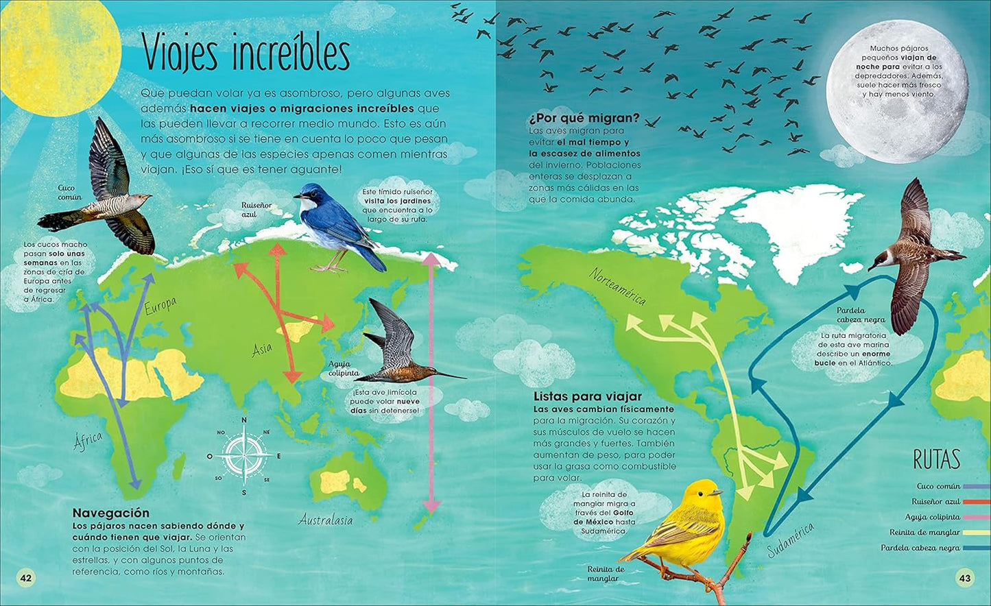 Libro en Espanol - La vida secreta de las aves (The Extraordinary World of Birds) (The Magic and Mystery of the Natural World) (Spanish Edition) by David Lindo (Hardback)