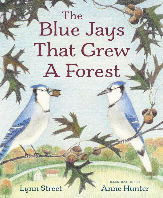 Book - The Blue Jays That Grew a Forest by Lynn Street (Hardback)
