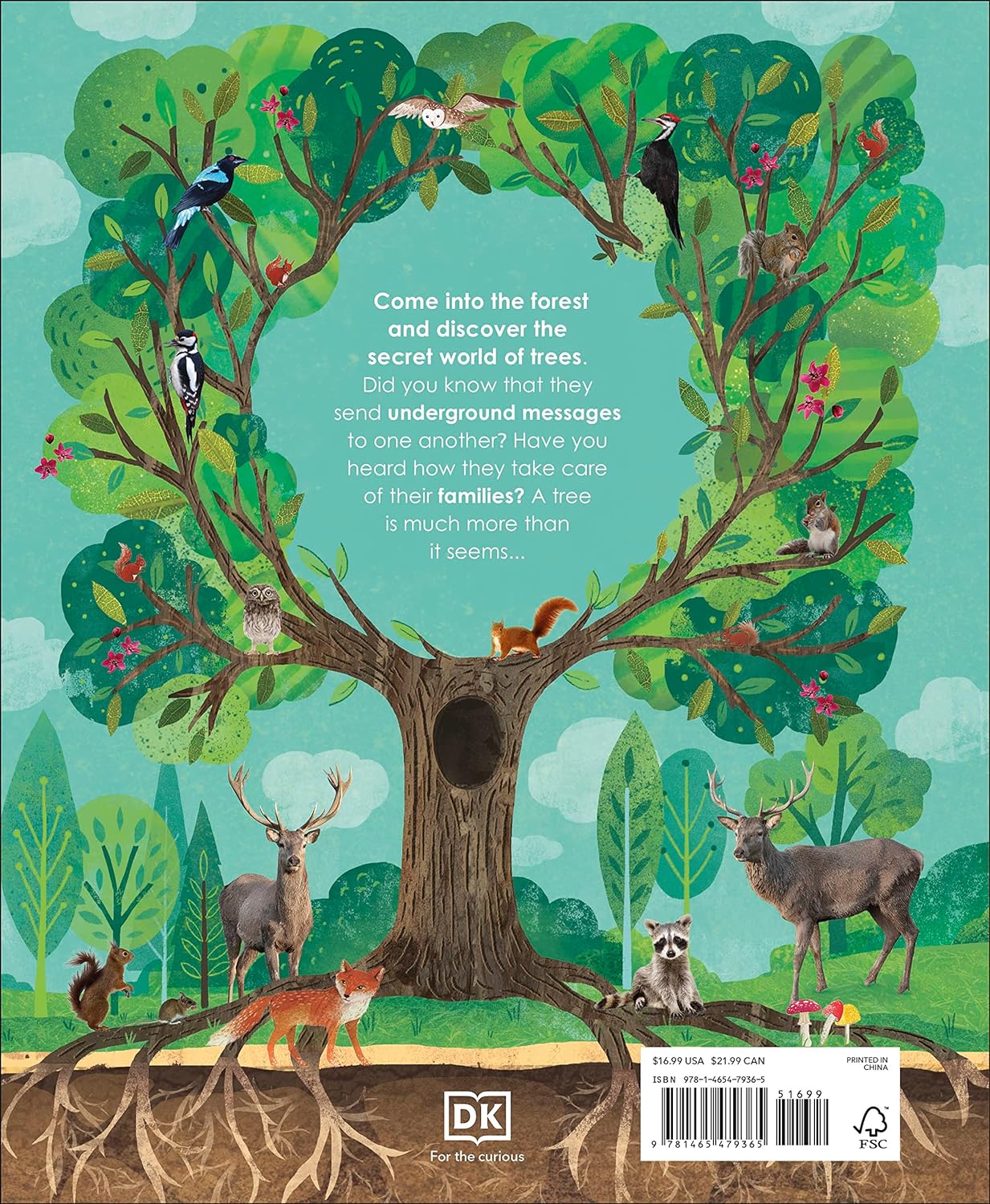 Book - Magic & Mystery of Trees by Jen Green (Hardback)