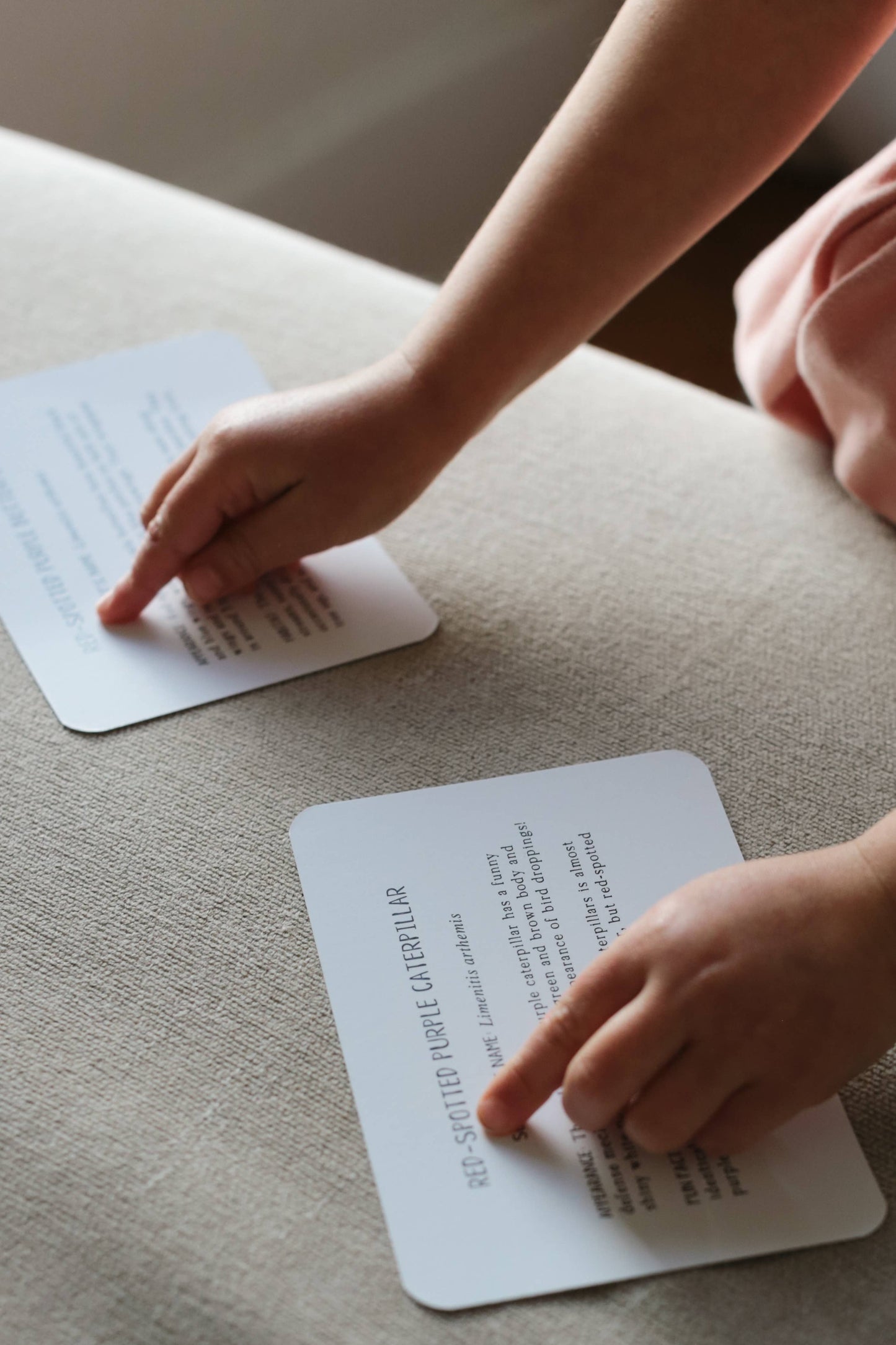 Montessori Learning Cards - Butterflies and Caterpillars