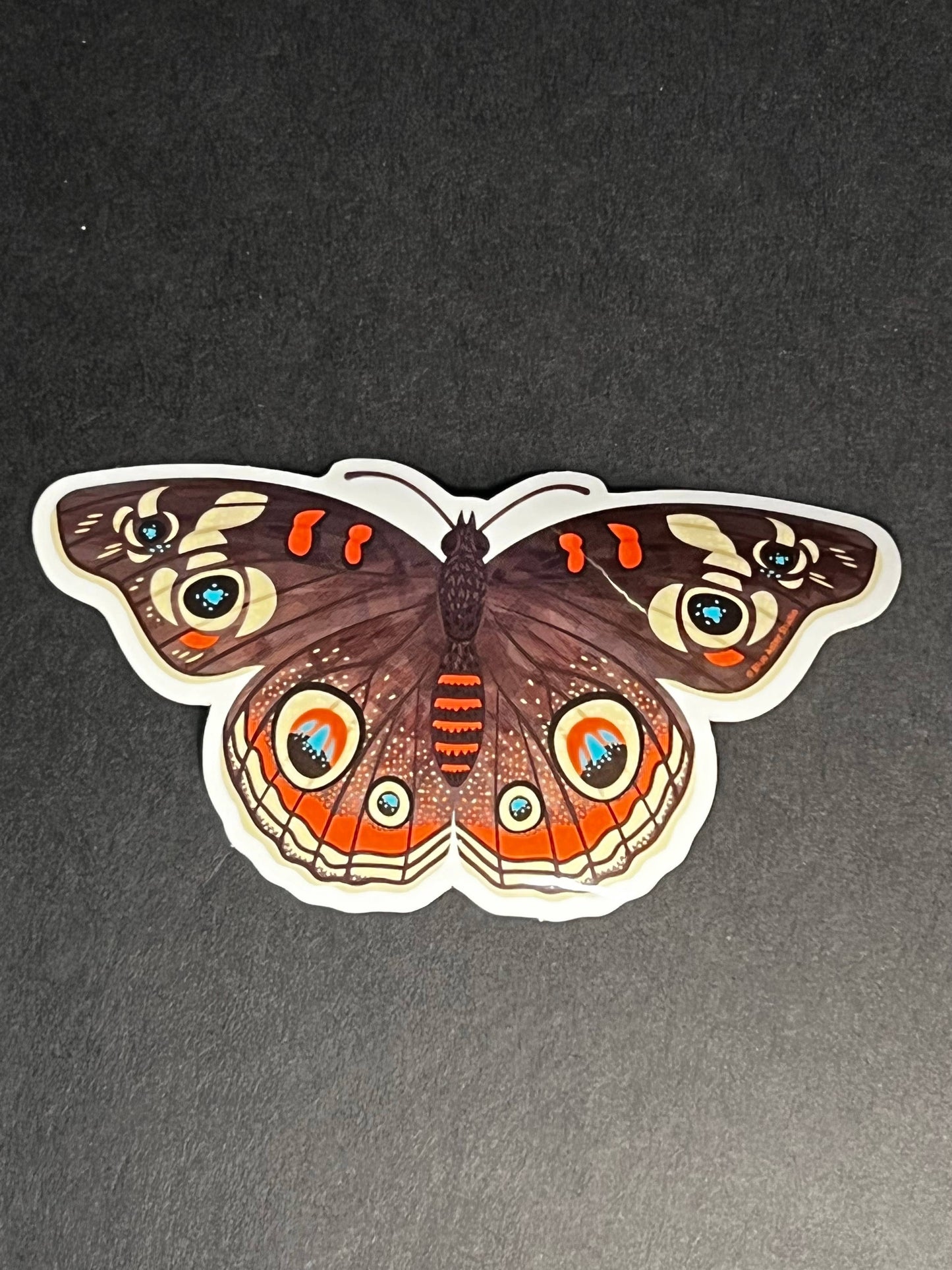 Sticker - Buckeye Butterfly