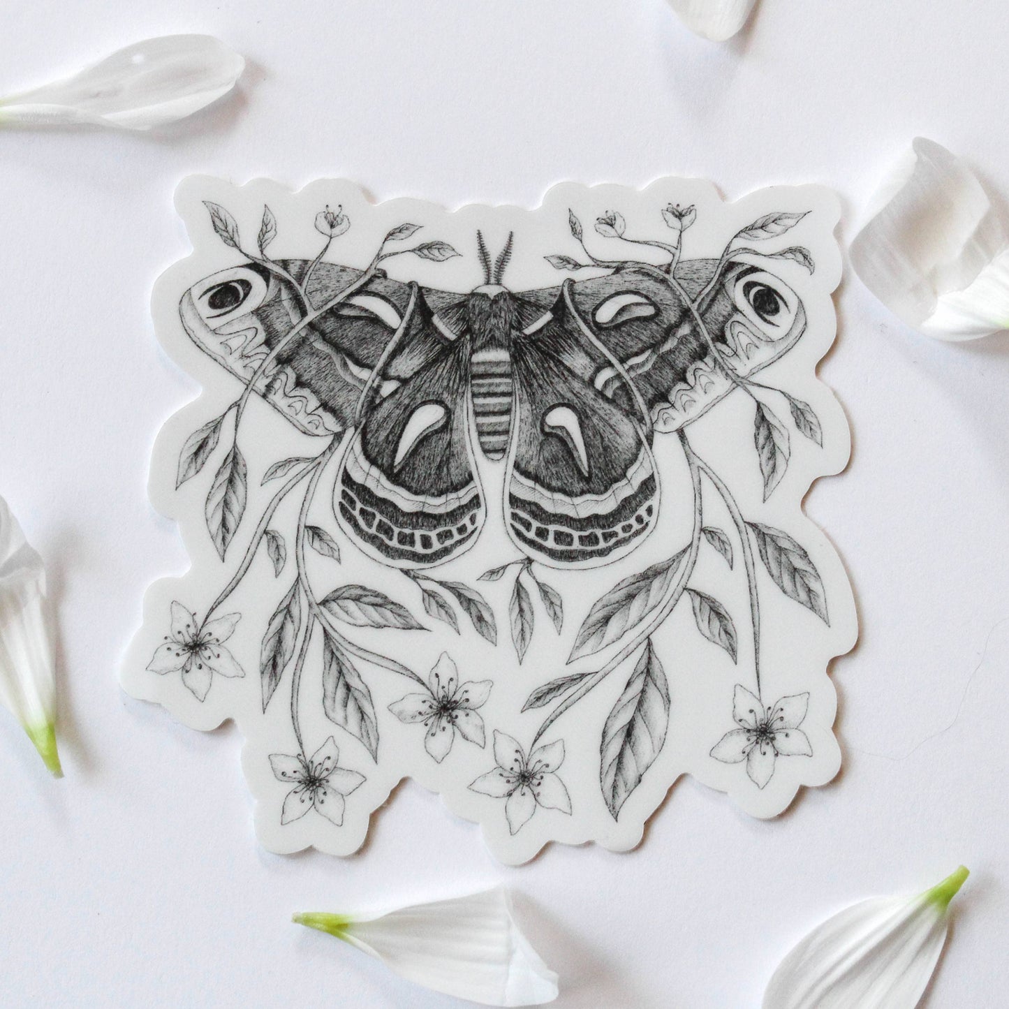 Sticker - Mackenzie Myrick - Cecropia Moth