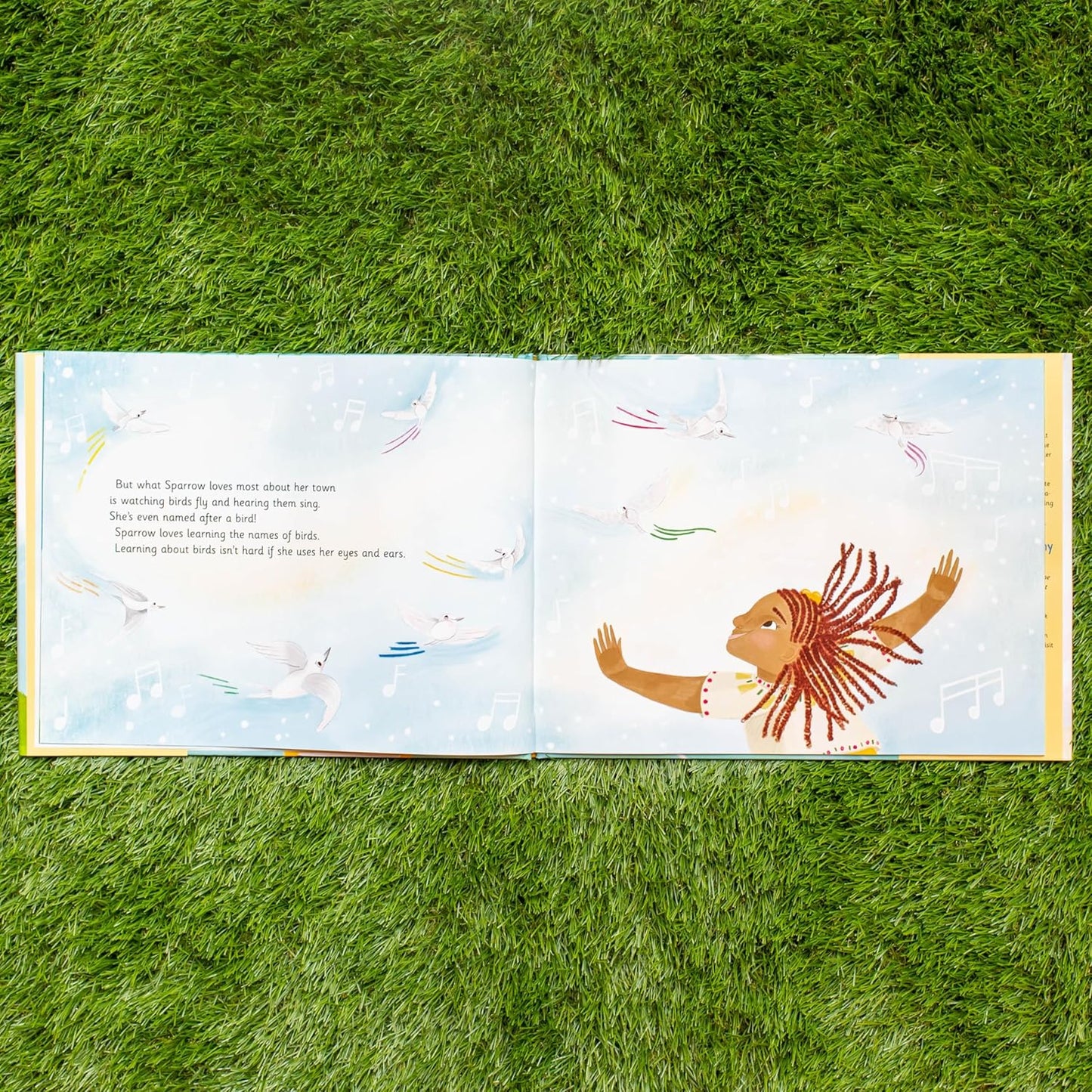 Book - Sparrow Loves Birds (Sparrow Loves Animals, 1) by Murry Burgess (Hardback)