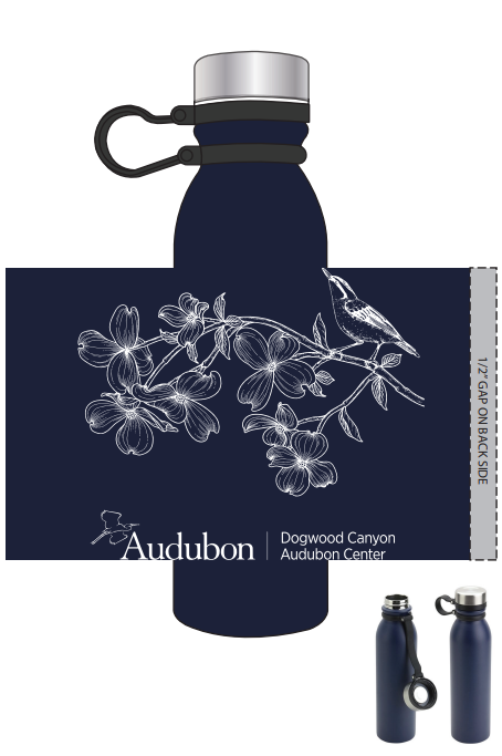 Logo - Blue Metal Water Bottle (DCAC)