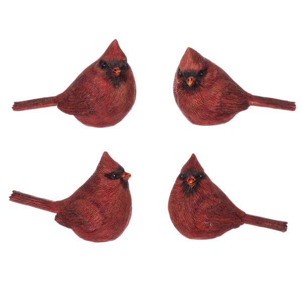 Decor - Cardinal (Choose from 4 poses)