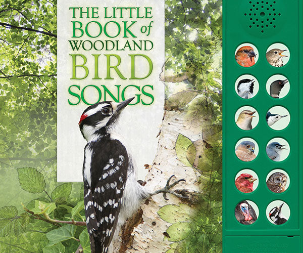Book - Little Book of Woodland Bird Songs by Andrea Pinnington & Caz Buckingham (Hardback with Sound)