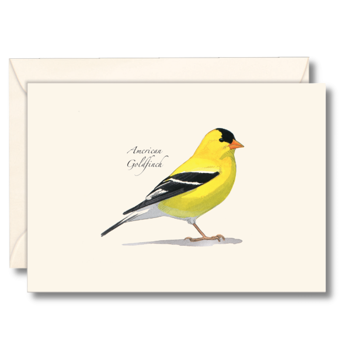 Paper - Boxed Notecards - American Goldfinch (Earth Sky + Water)