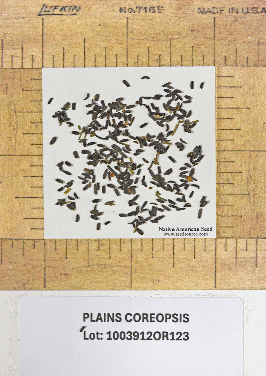Plants for Birds - Plains Coreopsis - Small Pack (Native American Seed)