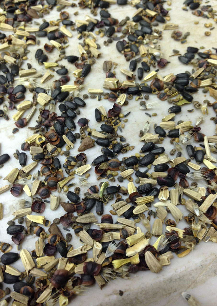 Plants for Birds - Pollinator Essentials Mix - Small Pack (Native American Seed)